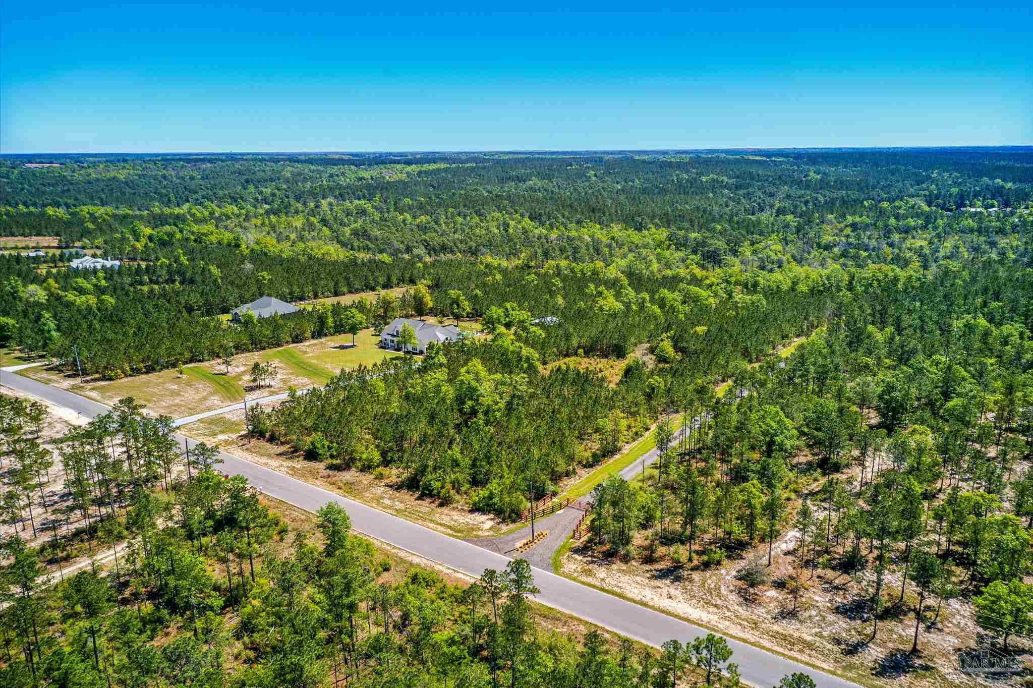 Lot 51 Buffalo Ridge Road Pace, FL 32571 - Photo 2 of 10