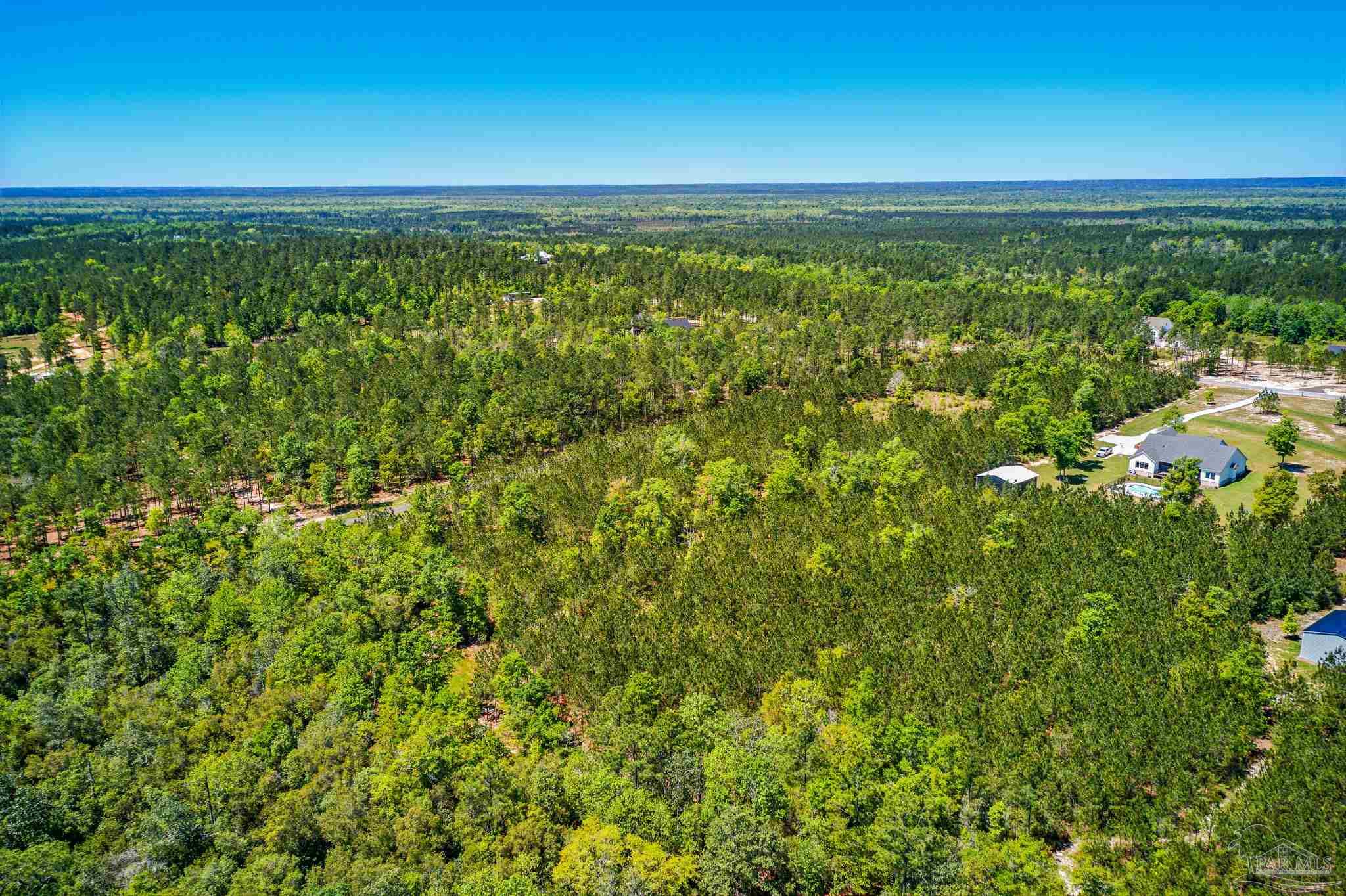 Lot 51 Buffalo Ridge Road Pace, FL 32571 - Photo 4 of 10