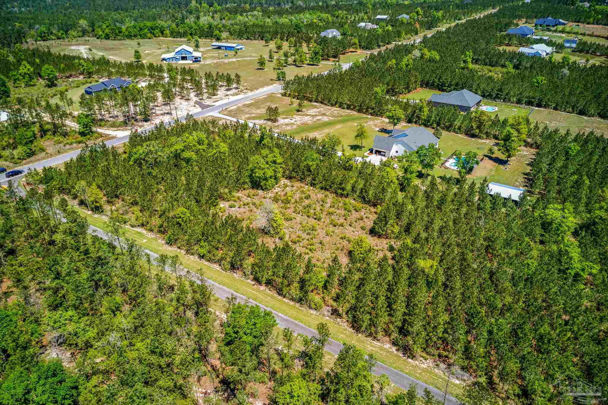 Lot 51 Buffalo Ridge Road Pace, FL 32571 - Photo 5 of 10