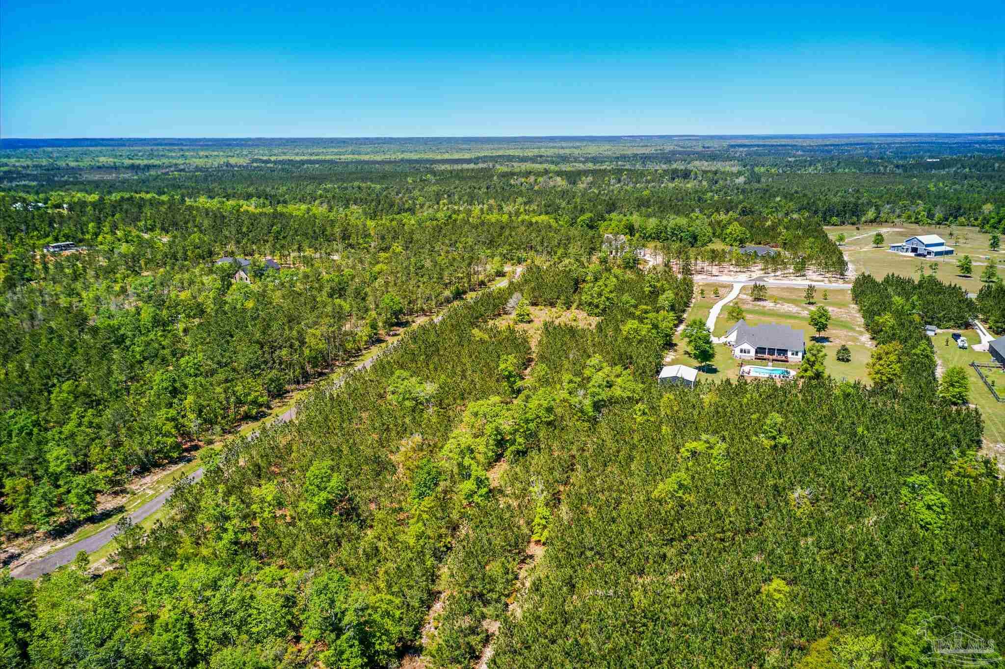 Lot 51 Buffalo Ridge Road Pace, FL 32571 - Photo 6 of 10