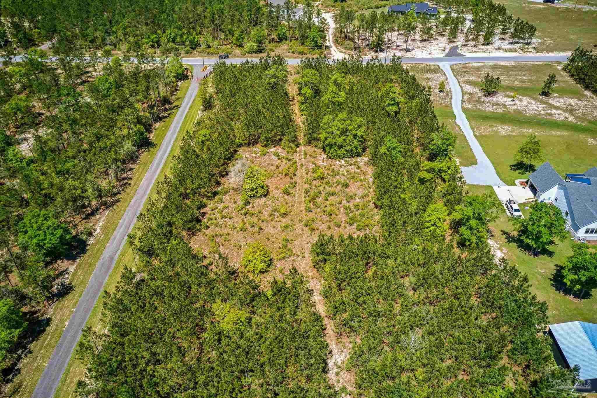 Lot 51 Buffalo Ridge Road Pace, FL 32571 - Photo 7 of 10