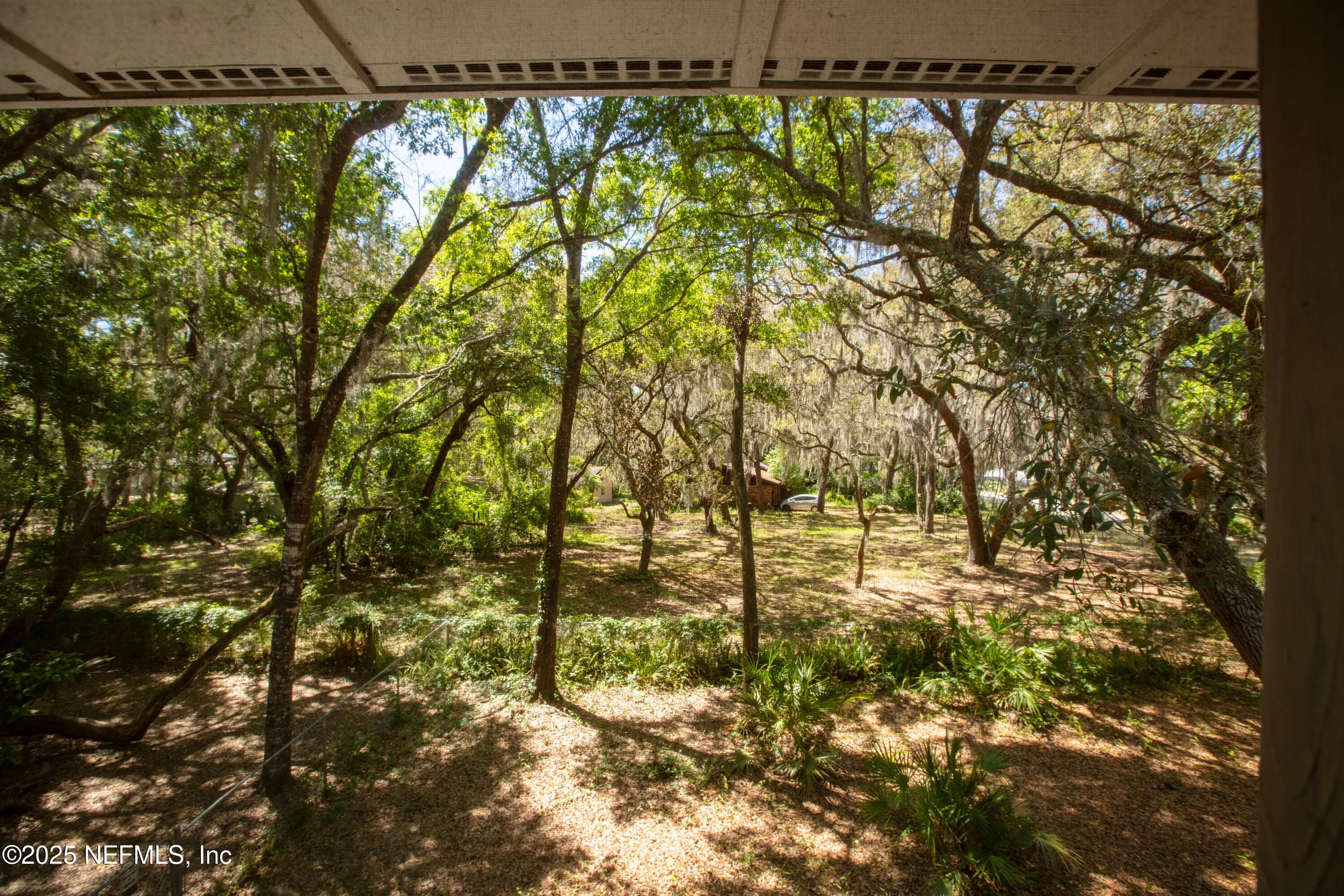 303 Southeast 3rd Avenue Melrose, FL 32666 - Photo 55 of 90 Side Yard