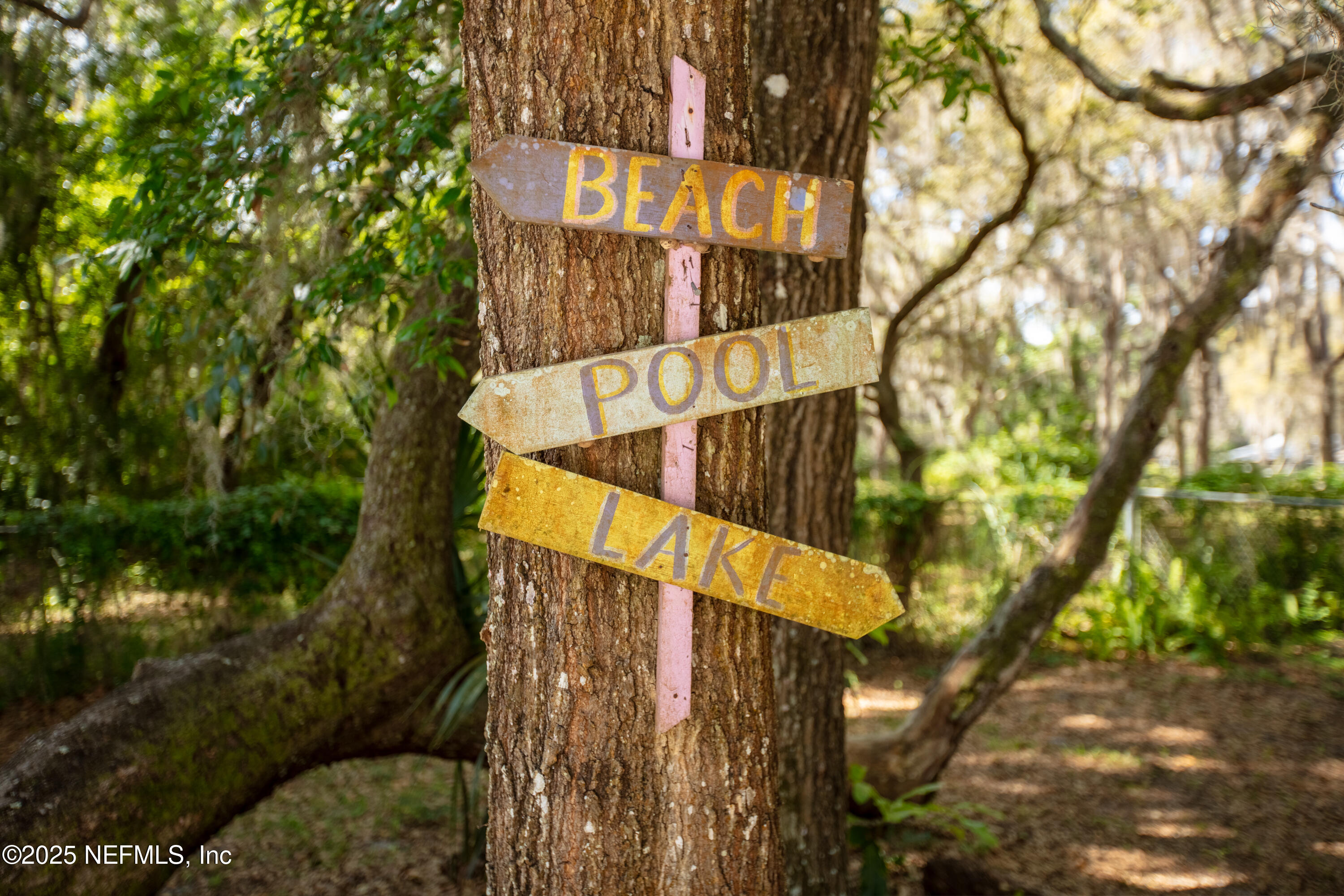303 Southeast 3rd Avenue Melrose, FL 32666 - Photo 57 of 90 Back Yard
