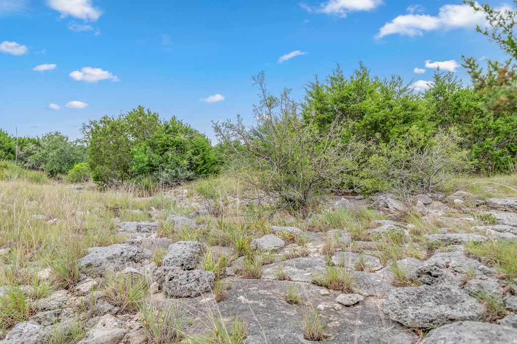 41 Rocksprings Tx 78880 Rocksprings, TX 78880 - Photo 22 of 62