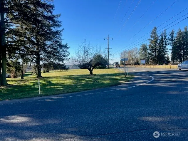 a view of a park with large trees