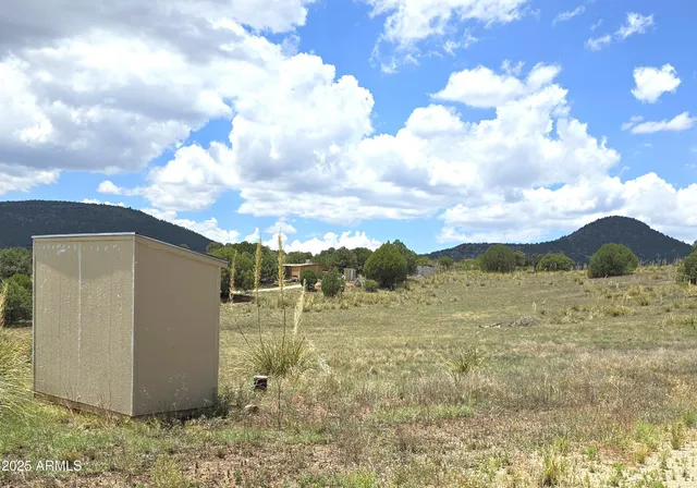 a view of a backyard