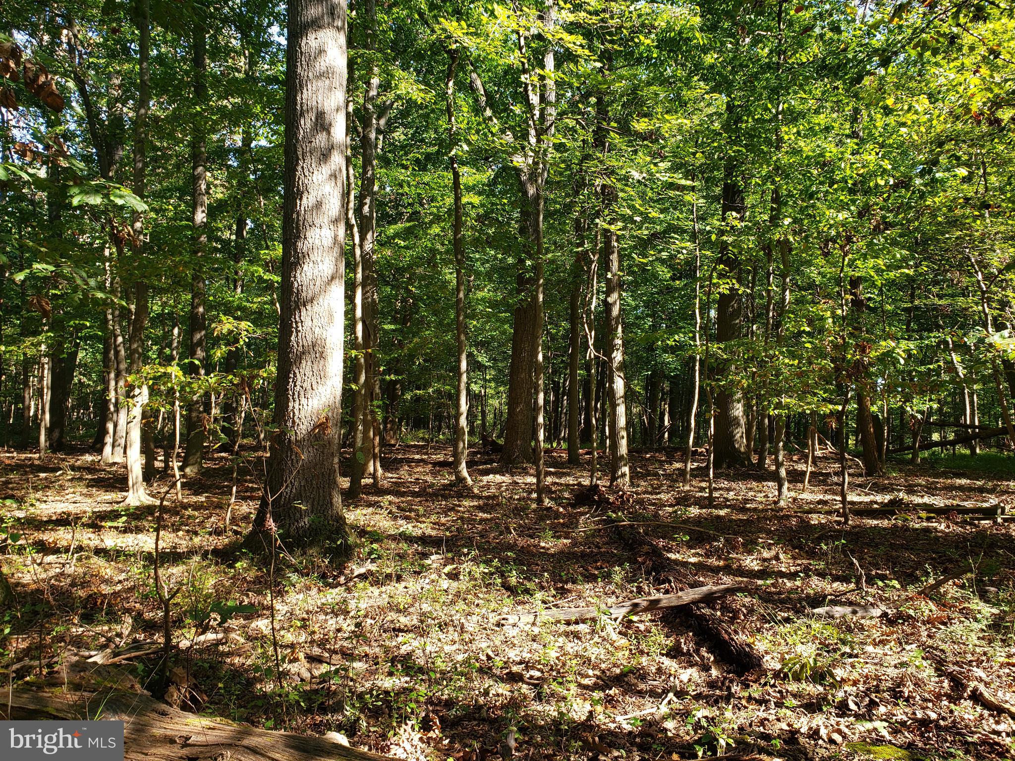 Pcl #116 Pcl Road Northwest Mount Airy, MD 21771 - Photo 1 of 14