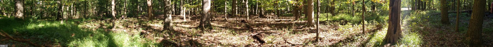 Pcl #116 Pcl Road Northwest Mount Airy, MD 21771 - Photo 11 of 14