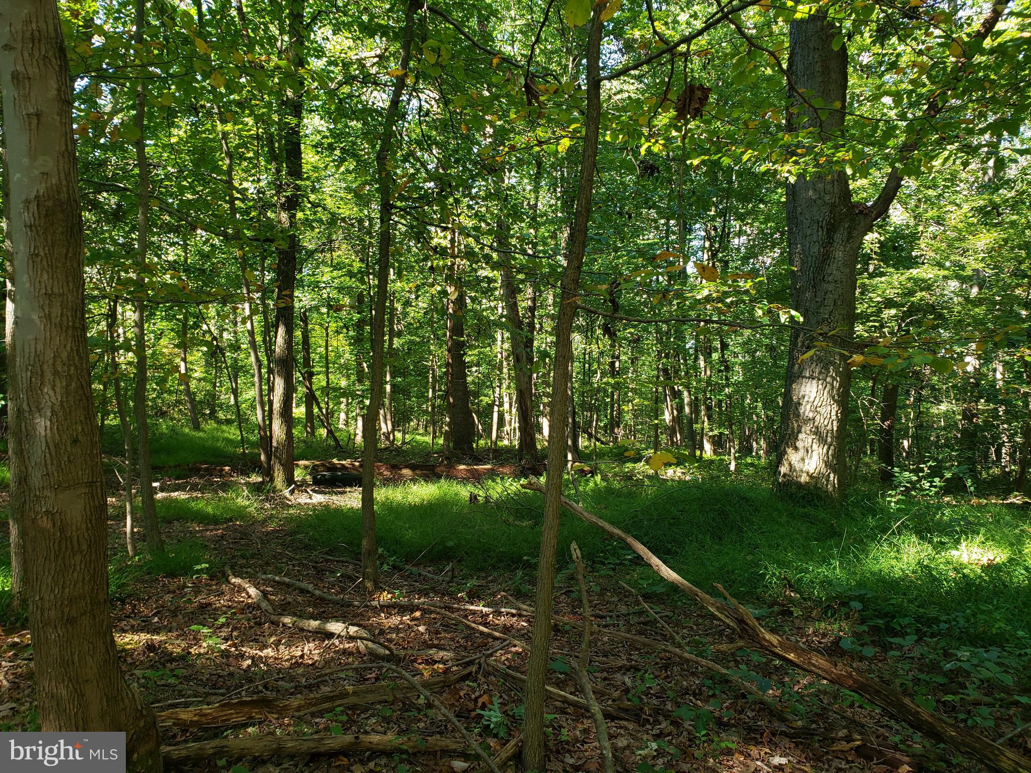 Pcl #116 Pcl Road Northwest Mount Airy, MD 21771 - Photo 12 of 14