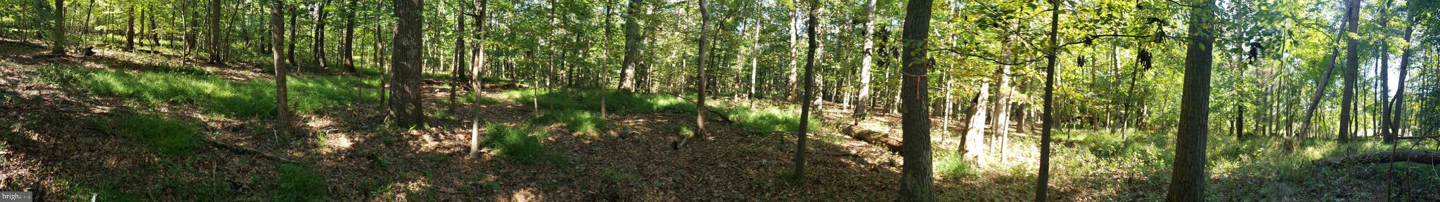 Pcl #116 Pcl Road Northwest Mount Airy, MD 21771 - Photo 3 of 14