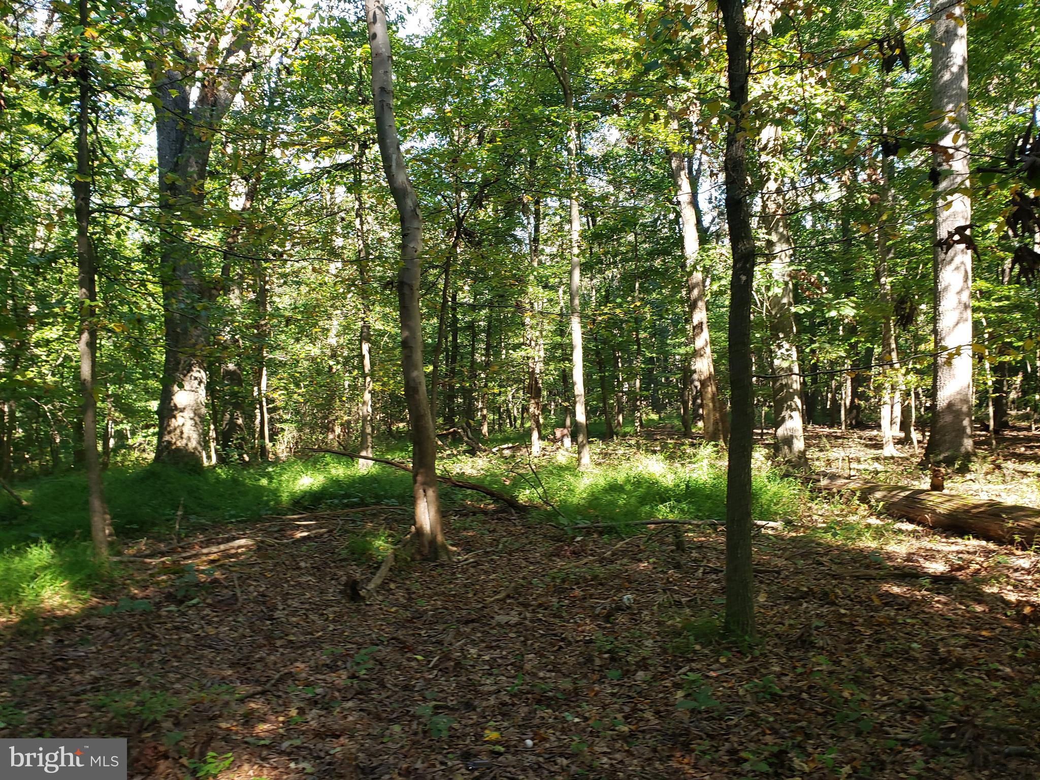 Pcl #116 Pcl Road Northwest Mount Airy, MD 21771 - Photo 5 of 14
