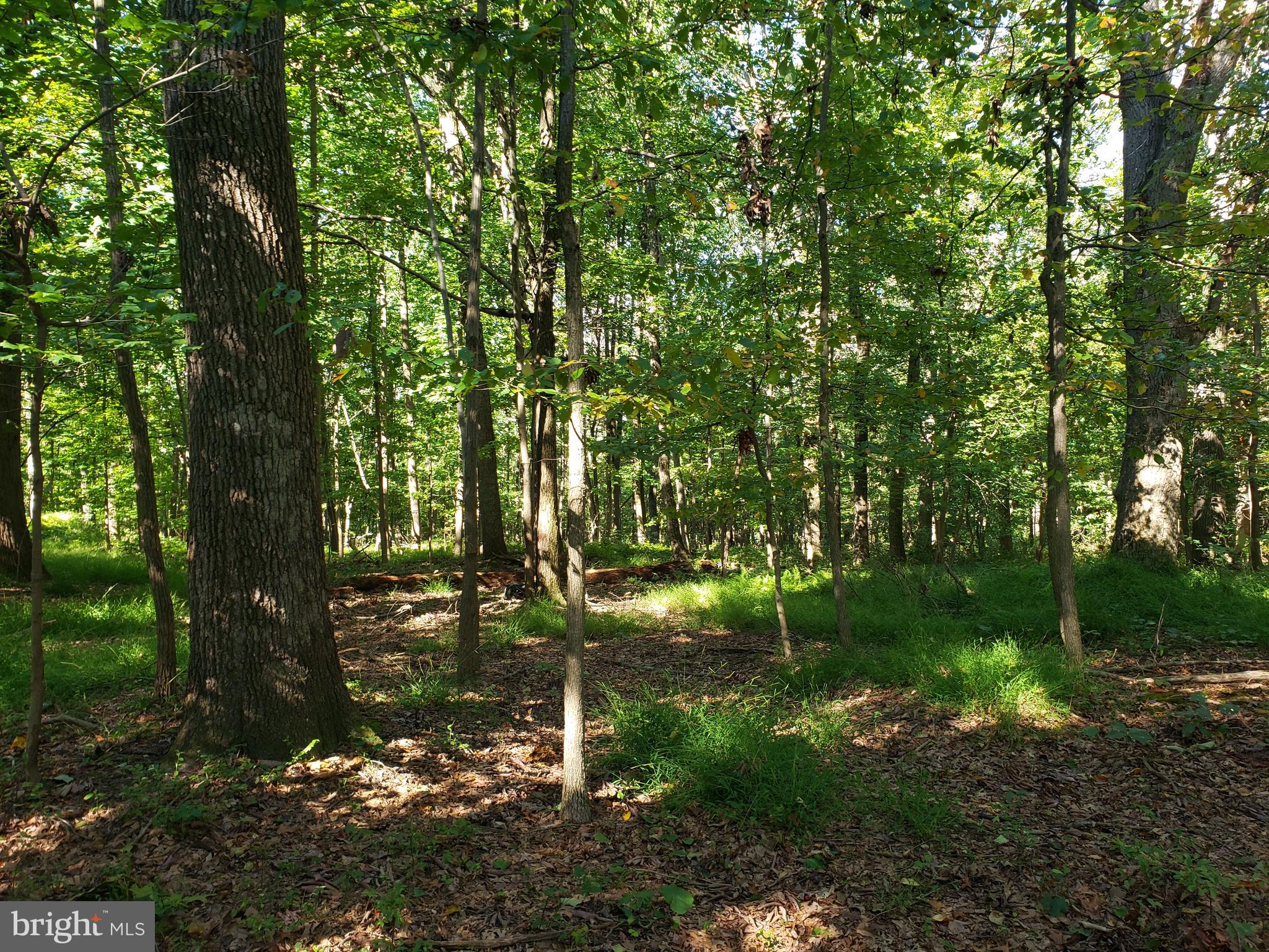 Pcl #116 Pcl Road Northwest Mount Airy, MD 21771 - Photo 6 of 14