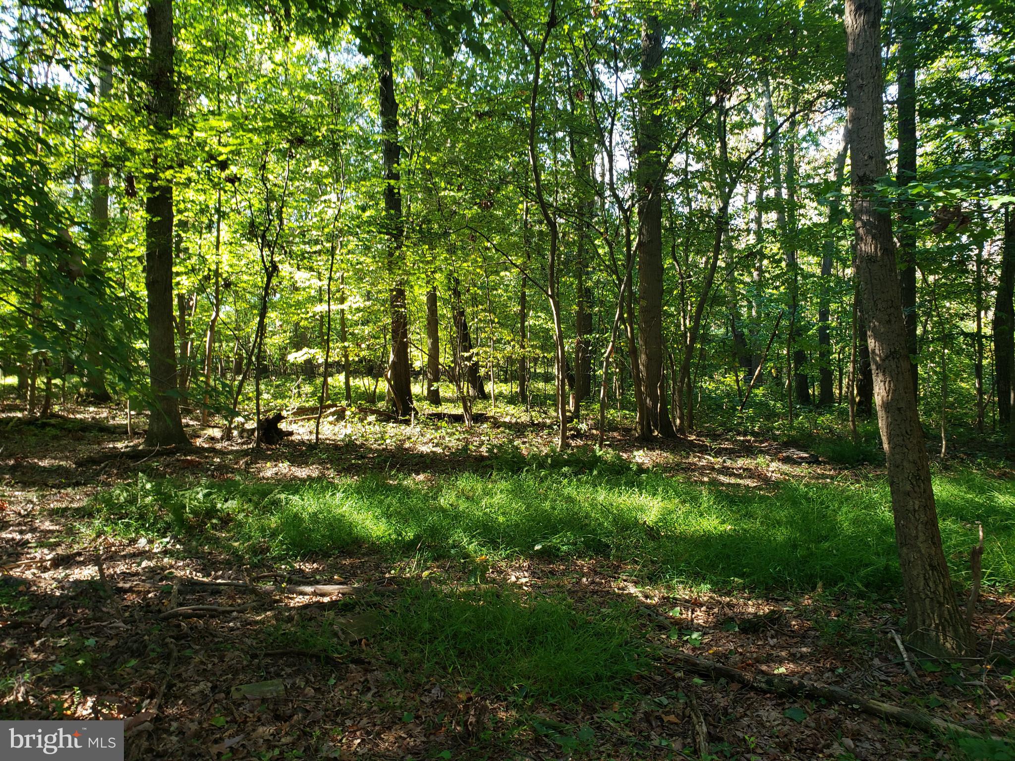 Pcl #116 Pcl Road Northwest Mount Airy, MD 21771 - Photo 8 of 14
