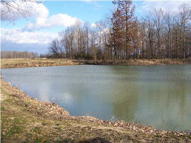 9580 Raben Road Mount Vernon, IN 47620 - Photo 1 of 1 Gallery Image 1