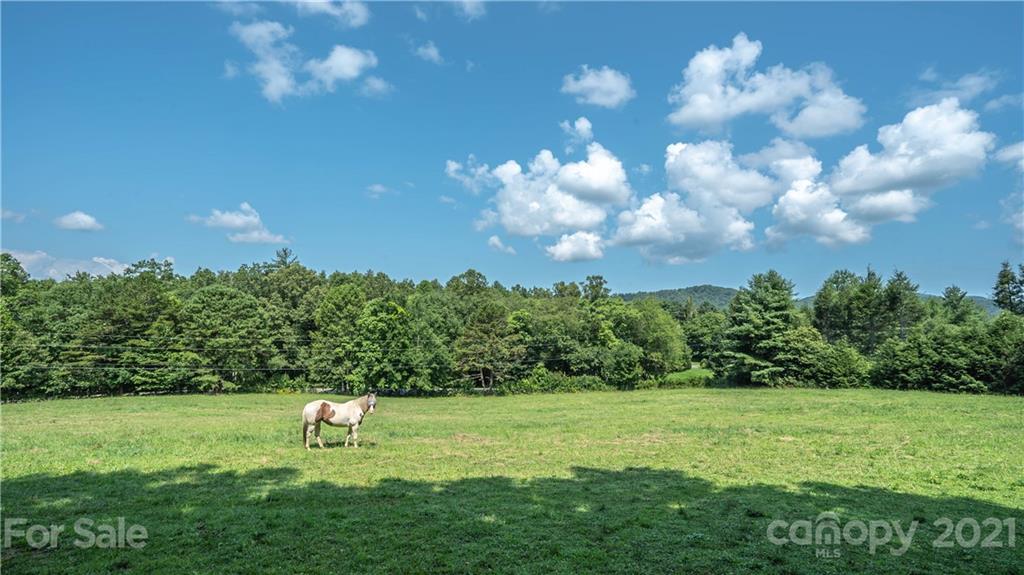 8 Baldwin Farms Road Fletcher, NC 28732 - Photo 5 of 12 Gallery Image 5
