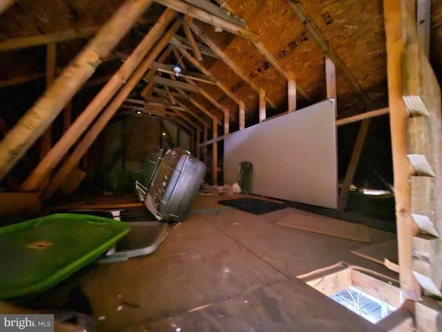 a view of a yard with large trees