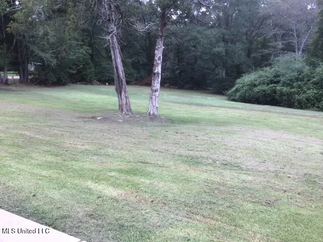 $239,900 | 13538 Highway 501, Forest, MS 39074