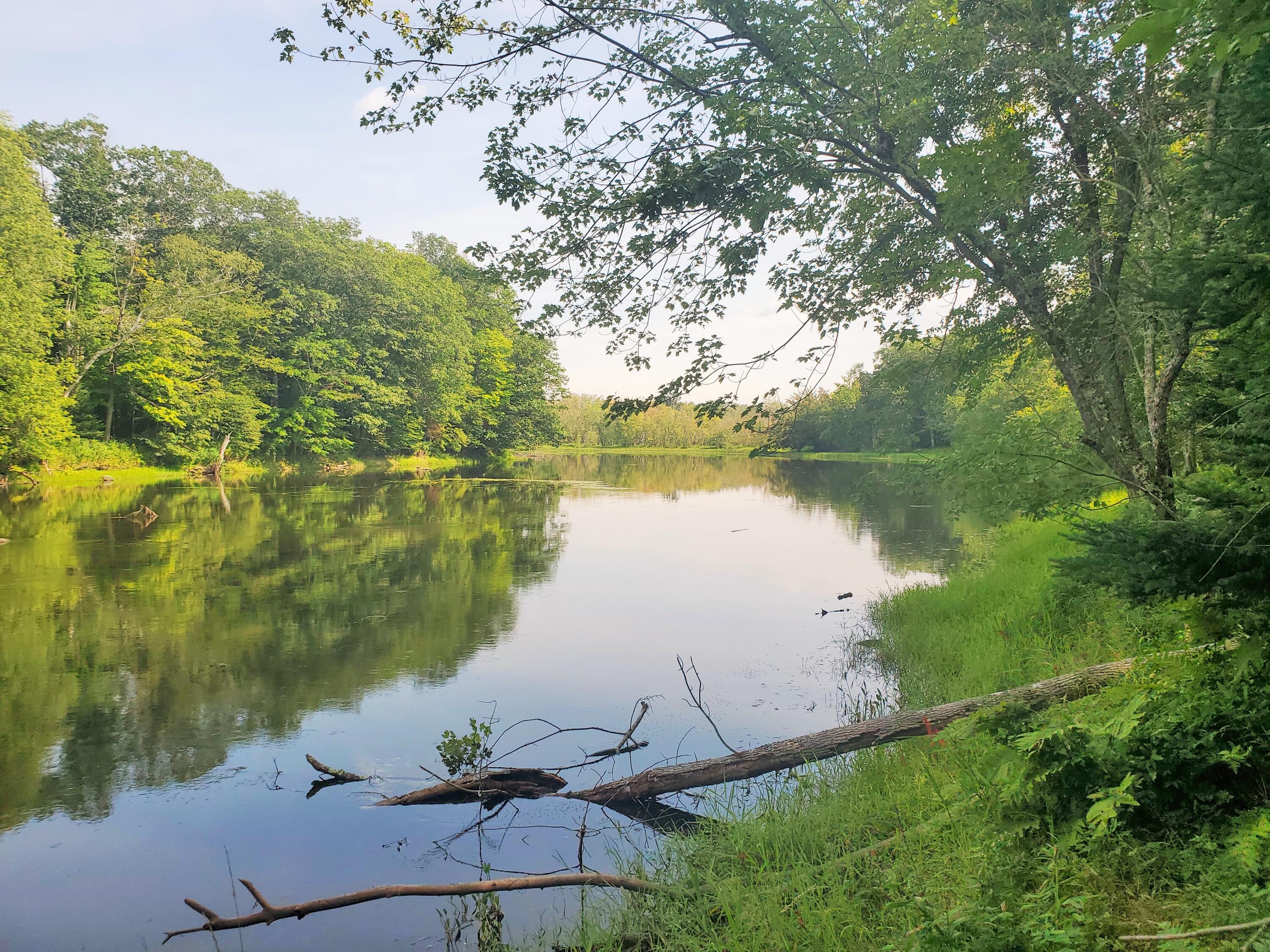 Off McCarthy Road Waterville, ME 04901 - Photo 21 of 23 22 River looking east