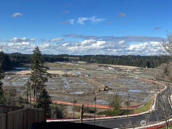 a view of a yard