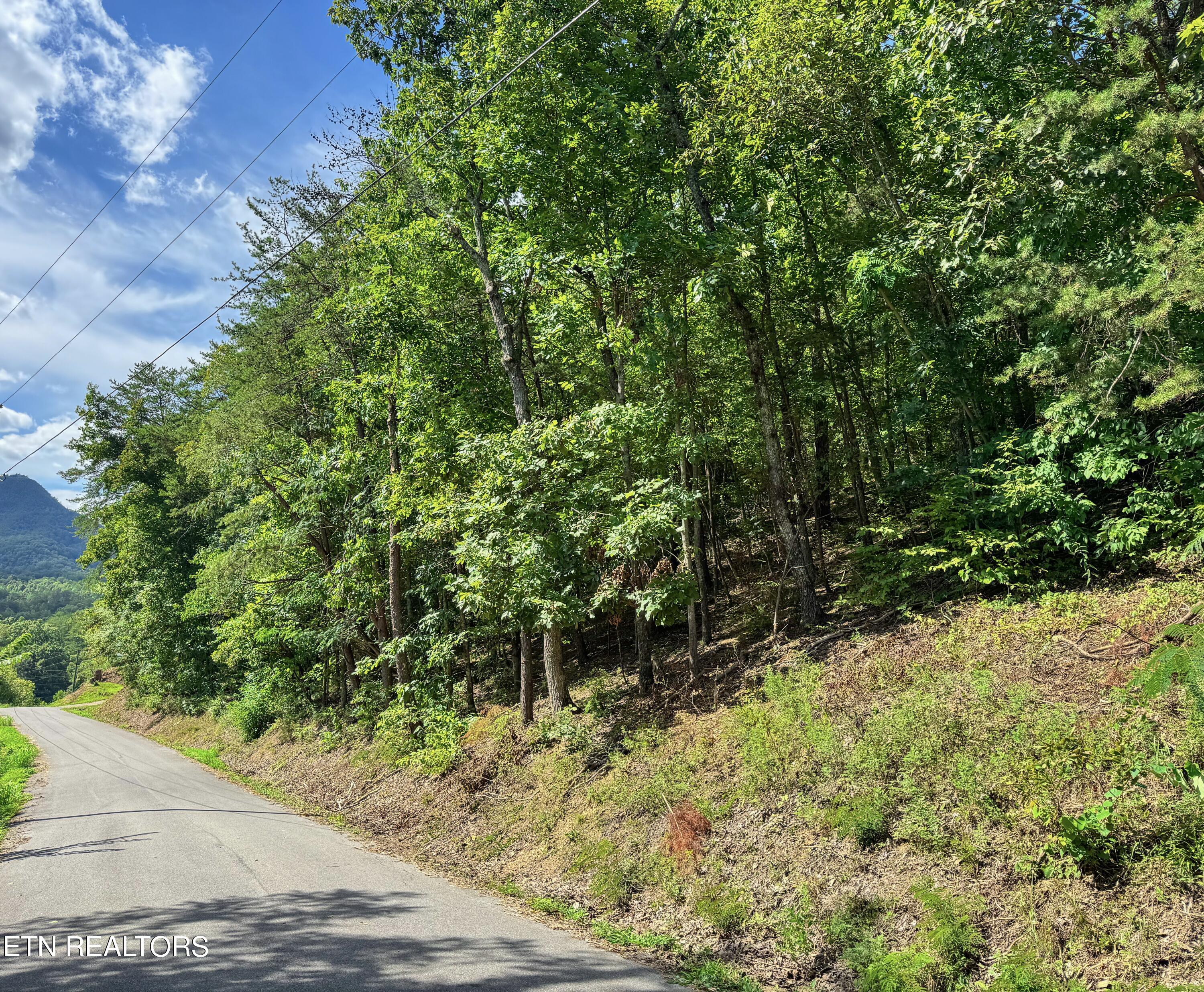 Right Side of Property