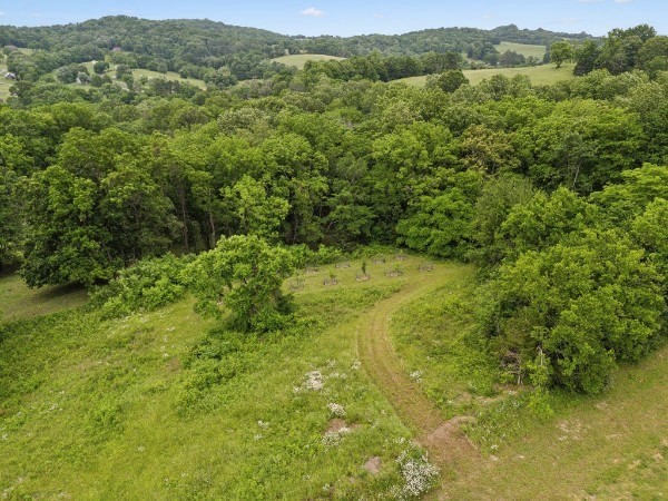 1345 Webb Road Lewisburg, TN 37091 - Photo 29 of 34 Gallery Image 29