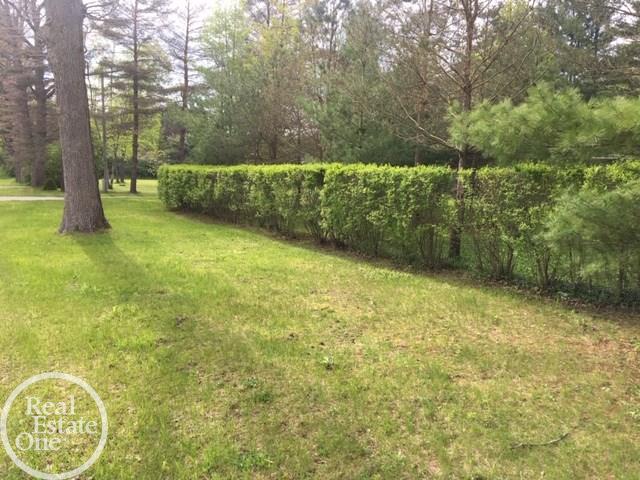 7116 Bryce Road North Street, MI 48049 - Photo 5 of 61
