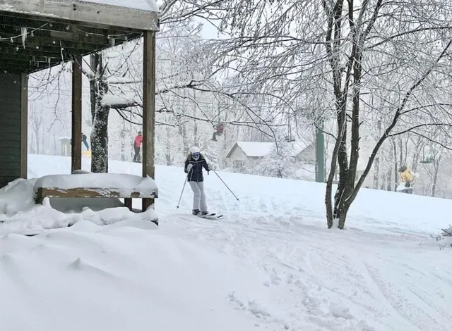 a view of back yard of the house