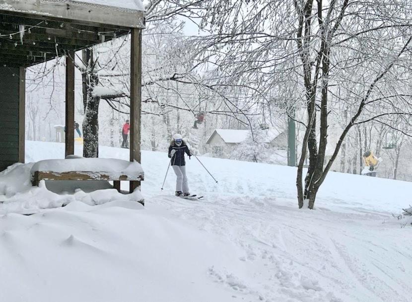 5023 Summit View Court Hidden Valley, PA 15502 - Photo 28 of 41 a view of back yard of the house