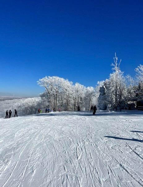 5023 Summit View Court Hidden Valley, PA 15502 - Photo 33 of 41 a view of a dry yard