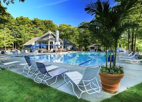 a view of a backyard with table and chairs potted plants and tree