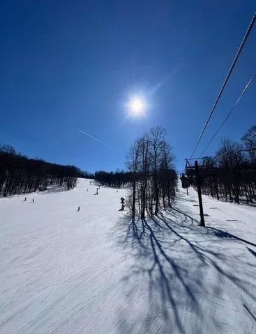 a view of a field of grass and trees