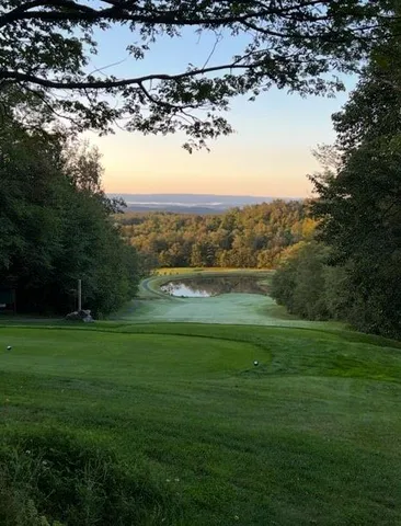 a view of a pathway with a wrought fence