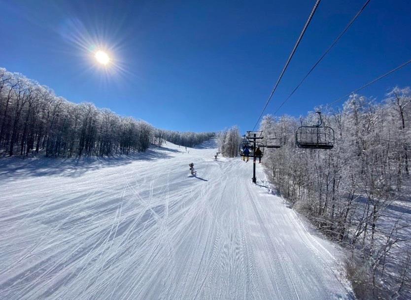5023 Summit View Court Hidden Valley, PA 15502 - Photo 41 of 41 a view of a pathway with a wrought fence