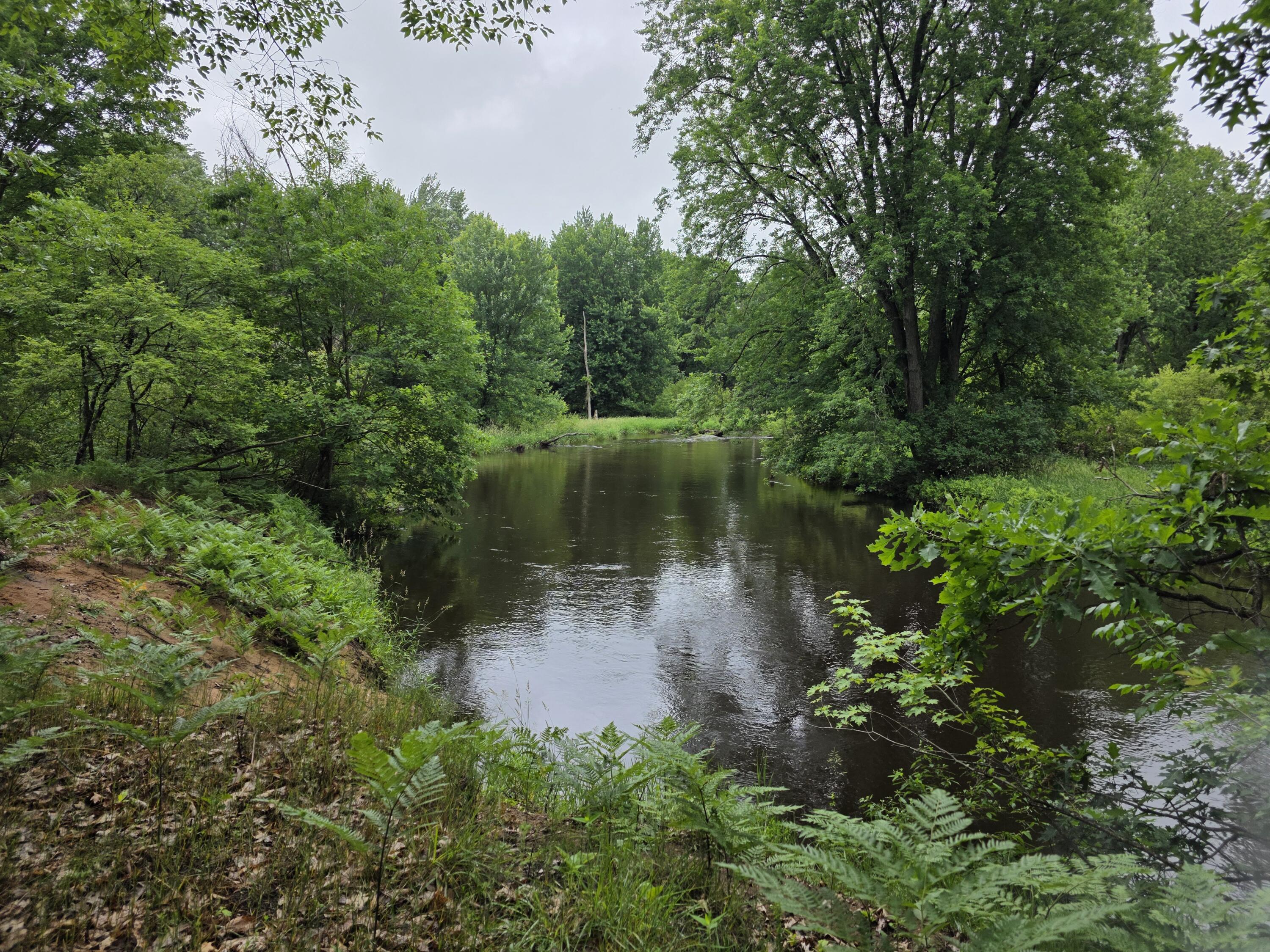 Madison Road Hesperia, MI 49421 - Photo 1 of 21 1000056964