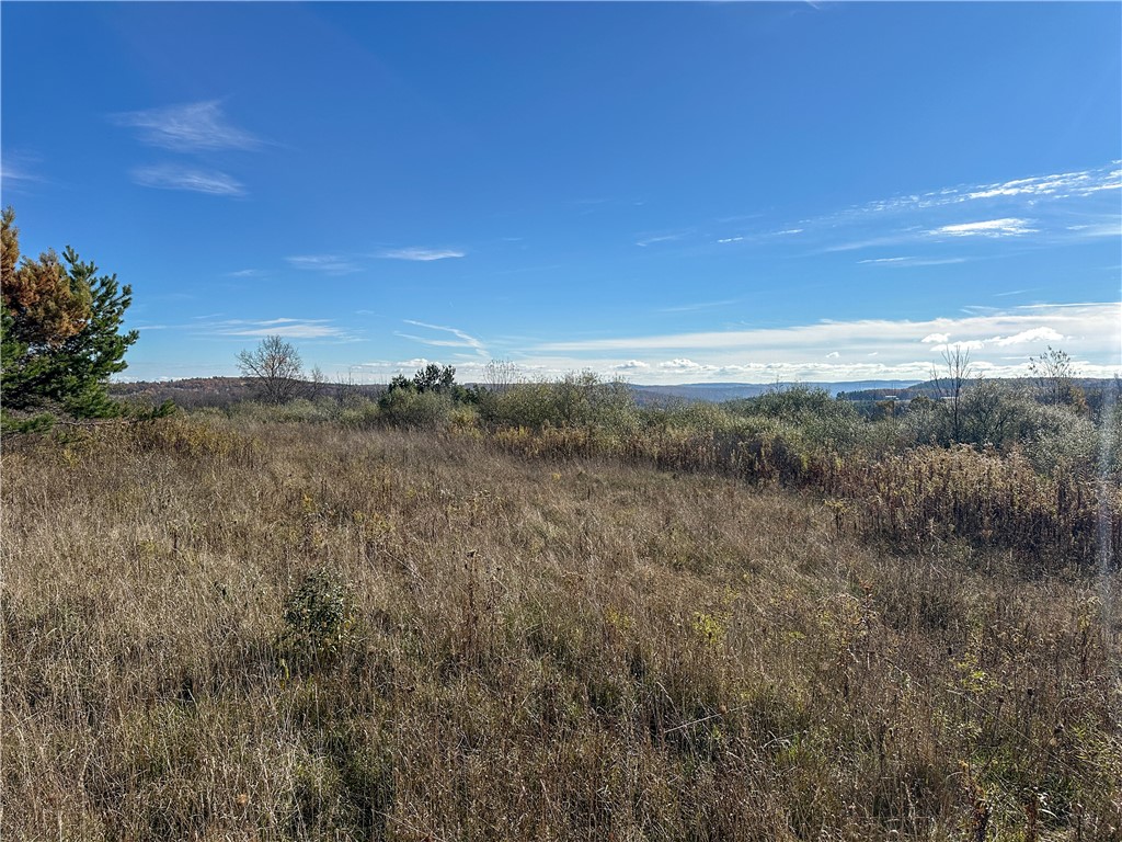 2 William Street Addison, NY 14801 - Photo 22 of 34