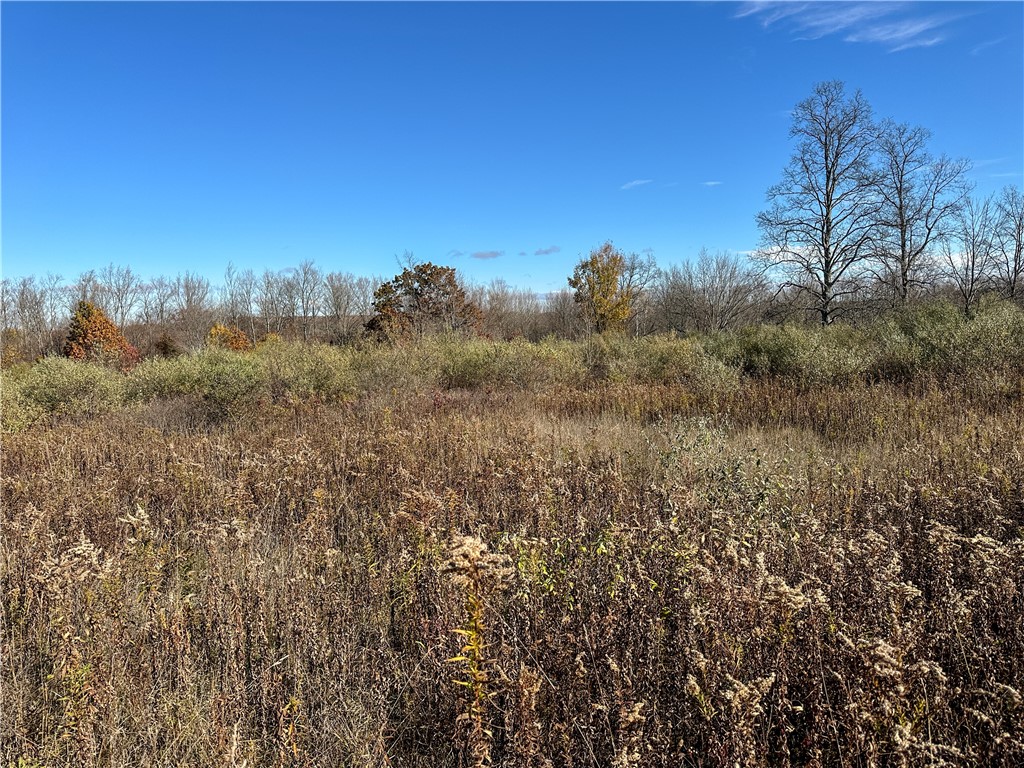 2 William Street Addison, NY 14801 - Photo 25 of 34