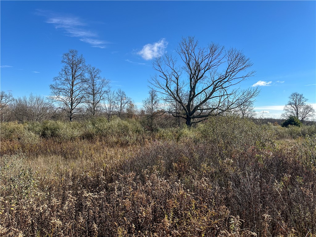 2 William Street Addison, NY 14801 - Photo 26 of 34