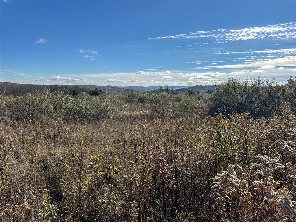 2 William Street Addison, NY 14801 - Photo 27 of 34