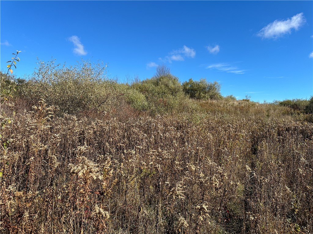 2 William Street Addison, NY 14801 - Photo 29 of 34