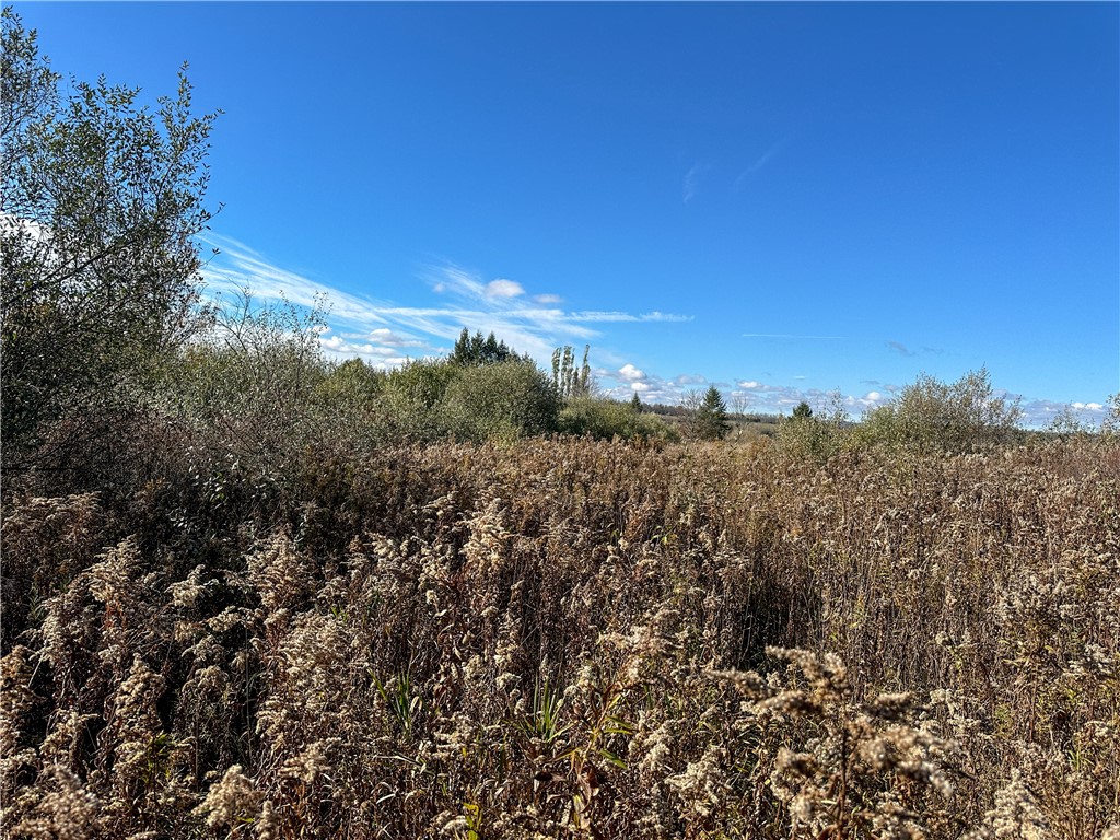 2 William Street Addison, NY 14801 - Photo 30 of 34