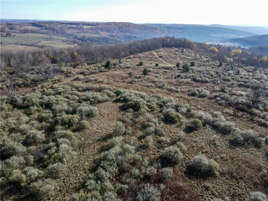 2 William Street Addison, NY 14801 - Photo 9 of 34