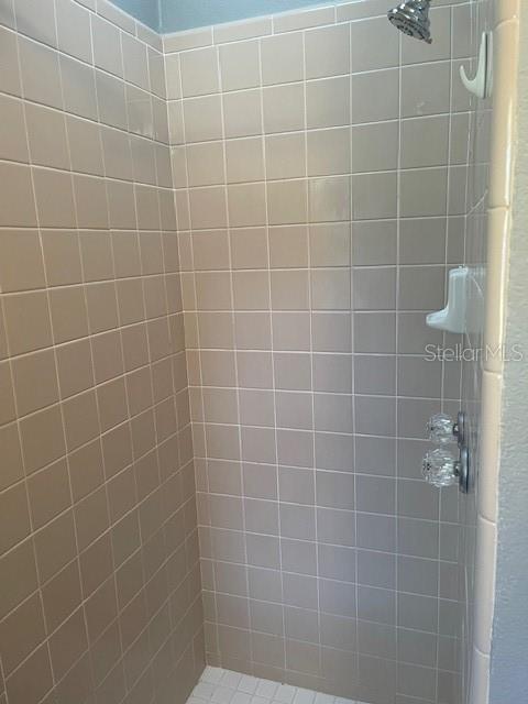 2501 Sheridan Road Mount Dora, FL 32757 - Photo 26 of 33