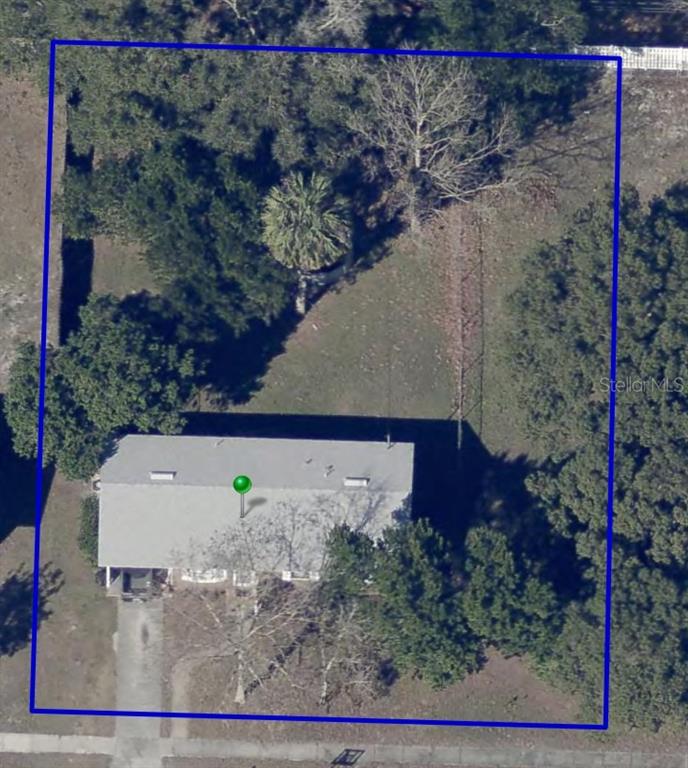 2501 Sheridan Road Mount Dora, FL 32757 - Photo 31 of 33 a view of a tree with a bench