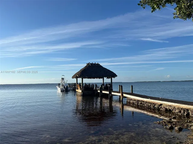 a view of a garden with an trees