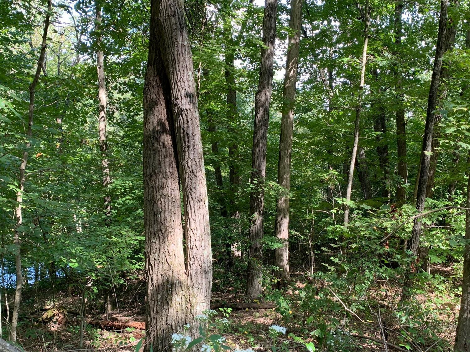 A Phipps Road Lucasville, OH 45648 - Photo 9 of 36 Gallery Image 9