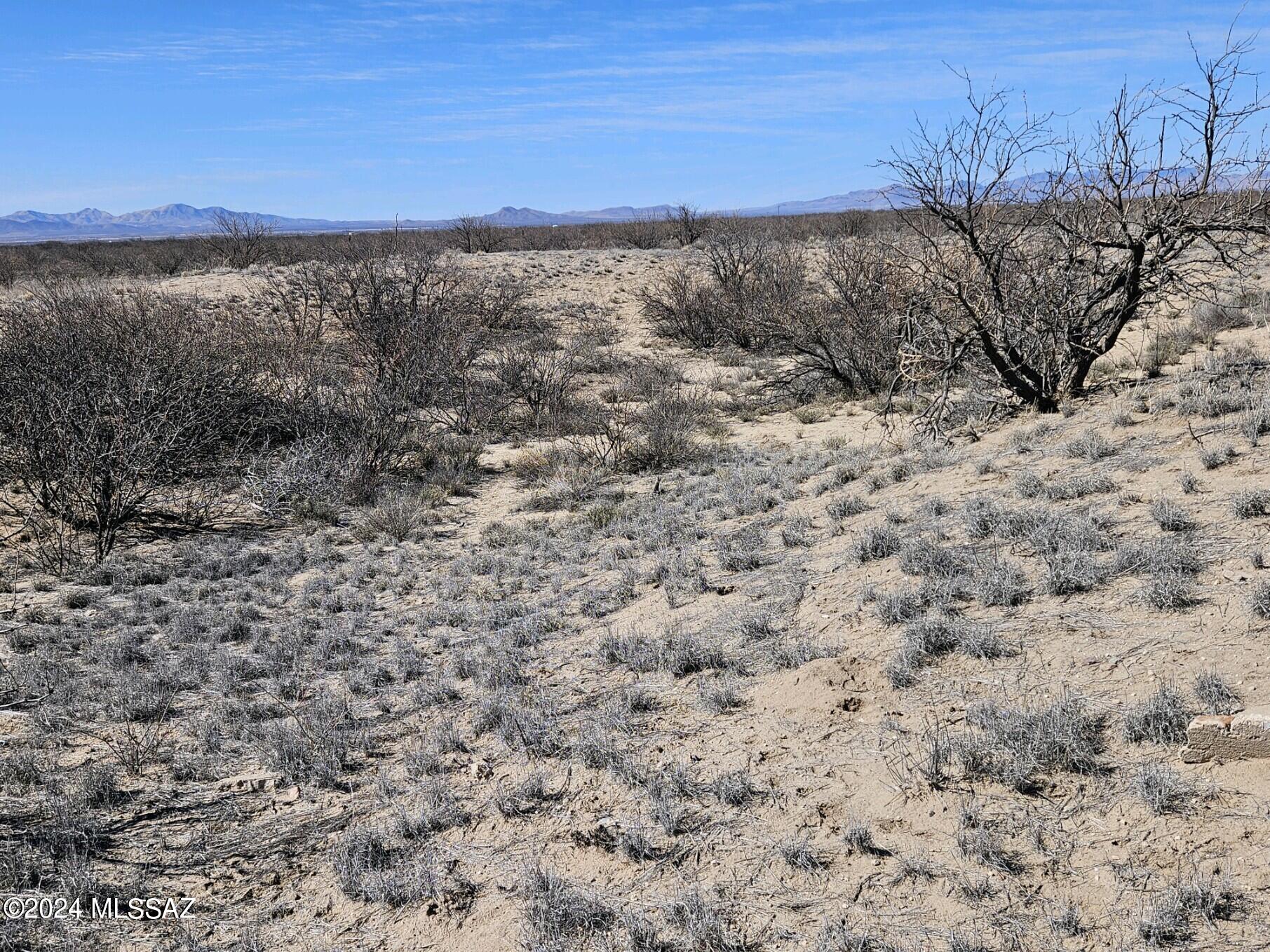 2424 East Kimzey Road Willcox, AZ 85643 - Photo 8 of 26 Gallery Image 8