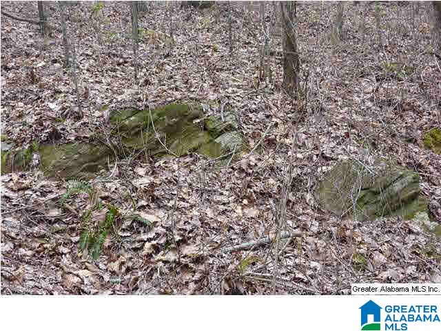 Bowden Ridge Drive, Unit 5 22 Lineville, AL 36266 - Photo 8 of 8