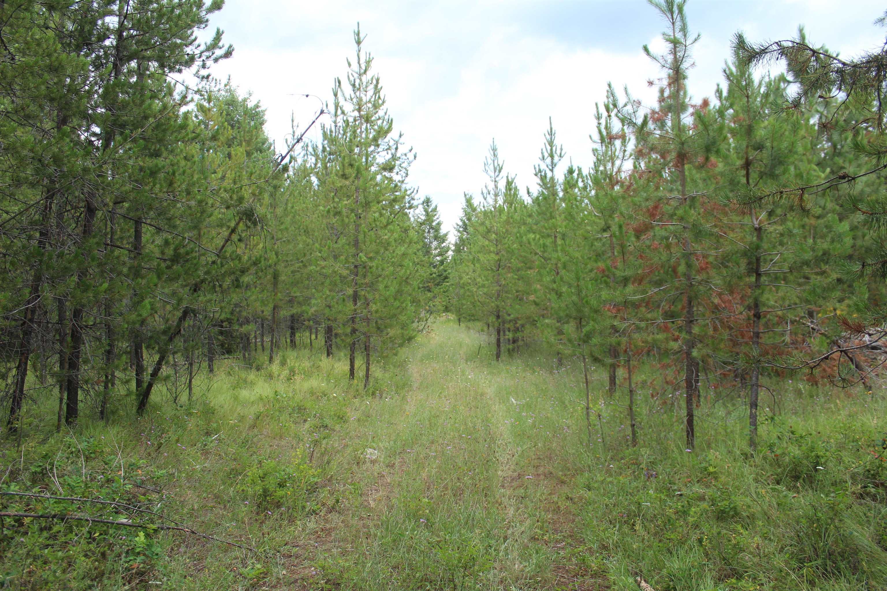 1-xx Tennant Road Newport, WA 99156 - Photo 11 of 13