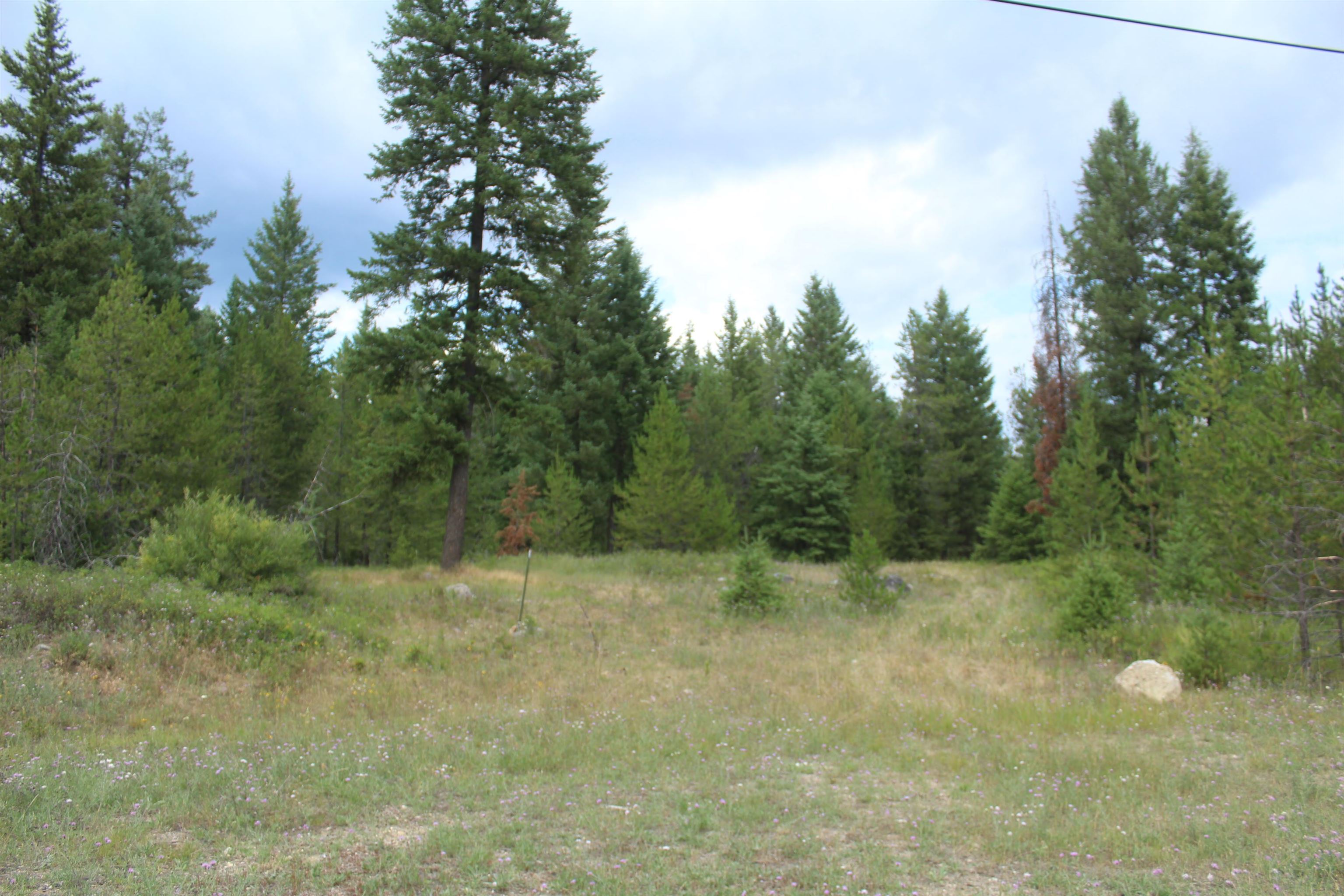 1-xx Tennant Road Newport, WA 99156 - Photo 12 of 13