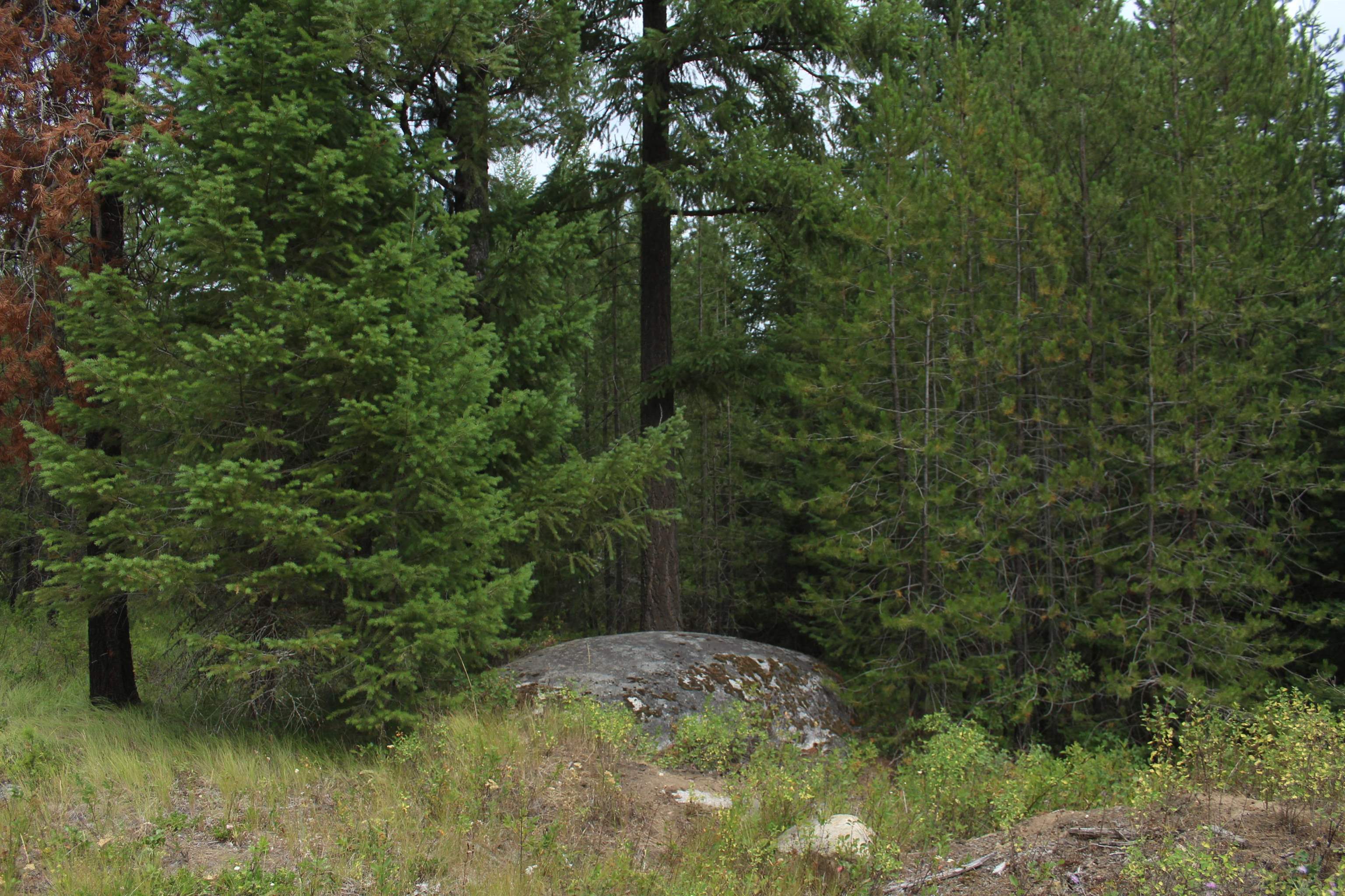 1-xx Tennant Road Newport, WA 99156 - Photo 5 of 13